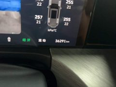 Tank 500 New Energy 2026 Hi4-T Smart Comfort Edition - ფოტო 4