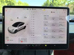 Tesla Model Y Rear-Wheel Drive - ფოტო 13