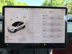 Tesla Model Y Rear-Wheel Drive - ფოტო 9