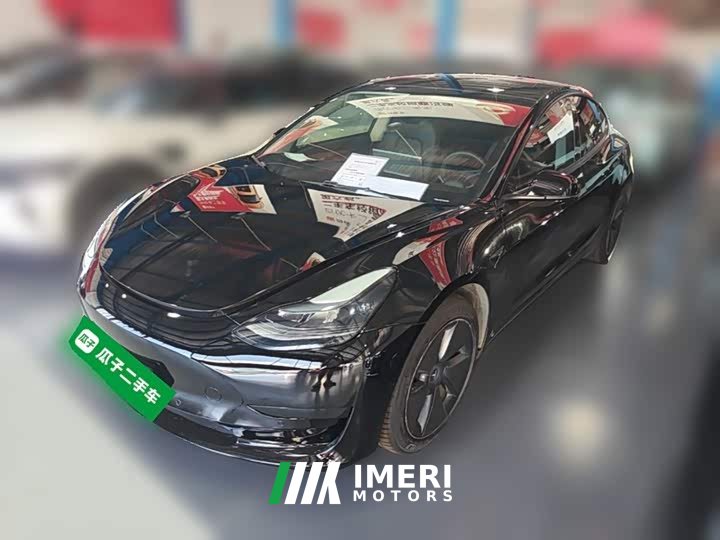 Tesla Model 3 Standard Range RWD Upgrade 3D6
