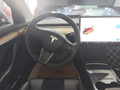 Tesla Model 3 Standard Range RWD Upgrade 3D6 - ფოტო 15