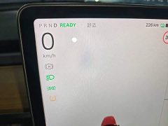 Tesla Model 3 Standard Range RWD Upgrade 3D6 - ფოტო 16