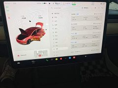Tesla Model 3 Standard Range RWD Upgrade 3D6 - ფოტო 18