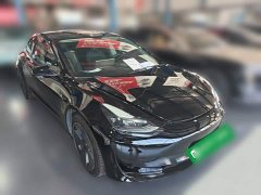 Tesla Model 3 Standard Range RWD Upgrade 3D6 - ფოტო 6