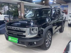 Great Wall Dachshund 2024 1.5T DCT Border Collie Edition - ფოტო 3