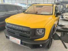Great Wall Dachshund 2024 1.5T DCT Border Collie Edition - ფოტო 1