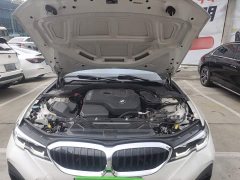 BMW 3 Series 320Li M Sport Package - ფოტო 16