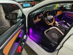 Volkswagen Bora 200TSI DSG Comfort Edition - ფოტო 14