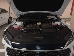 BYD Qin PLUS 2025 DM-i Smart Drive 128KM Entry-Level - ფოტო 16