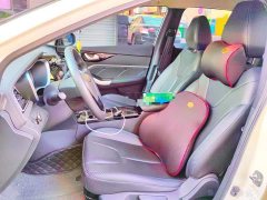 Nissan Arrizo EV Standard Range Smart Travel Edition - ფოტო 8