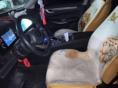 AITO Blue E5 2023 1.5L DE-i 100KM Comfort 7-Seater - ფოტო 8