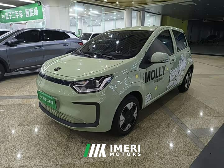Flower Fairy Anniversary Edition 200km Lavender 30kW