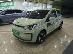 Flower Fairy Anniversary Edition 200km Lavender 30kW - photo 1