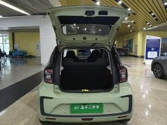 Flower Fairy Anniversary Edition 200km Lavender 30kW - photo 10
