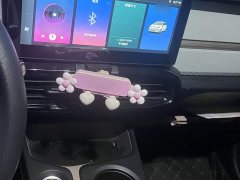 Flower Fairy Anniversary Edition 200km Lavender 30kW - photo 16