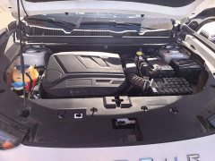 Jetour Jietu Dasheng 1.6T DCT King Pro - ფოტო 11