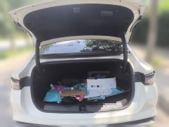BYD Dolphin 06 EV 545KM Deluxe Edition - ფოტო 10