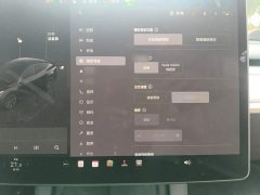 Tesla Model Y 2023 Rear-Wheel Drive - ფოტო 19