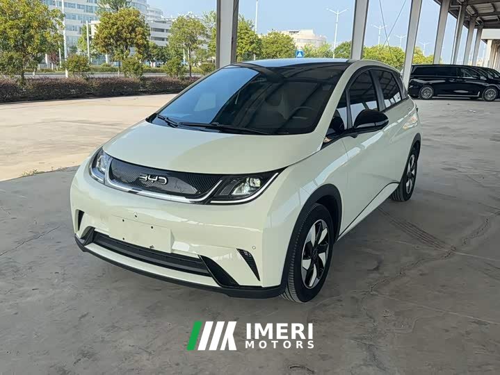 BYD Dolphin Glory Edition 420km Fashion Version - ავტომობილი ჩინეთიდან