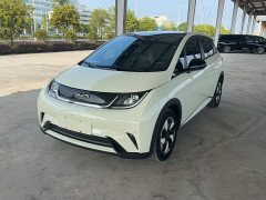 BYD Dolphin Glory Edition 420km Fashion Version - ფოტო 1