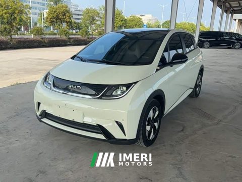 2024 BYD Dolphin Glory Edition 420km Fashion Version - ავტომობილი ჩინეთიდან