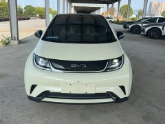 BYD Dolphin Glory Edition 420km Fashion Version - ფოტო 3