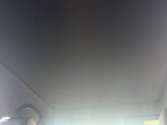 BYD Dolphin Glory Edition 420km Fashion Version - ფოტო 8