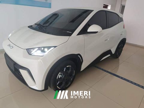 2024 BYD Seagull 2025 305km Freedom Edition - ავტომობილი ჩინეთიდან