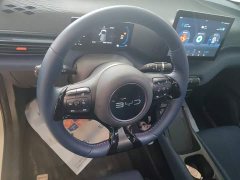 BYD Seagull 2025 305km Freedom Edition - ფოტო 15
