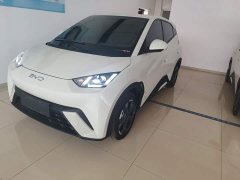 BYD Seagull 2025 305km Freedom Edition - ფოტო 5