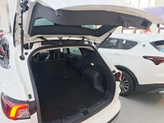 Ford Sharp 2020 EcoBoost 245 FWD Prestige - ფოტო 16