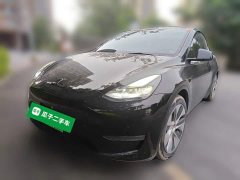 Tesla Model Y Standard Range RWD - ფოტო 1