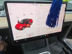 Tesla Model Y Standard Range RWD - ფოტო 6