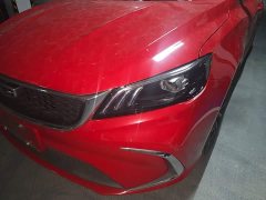 Geely Binrui 1.4T CVT Asian Games Edition - ფოტო 3