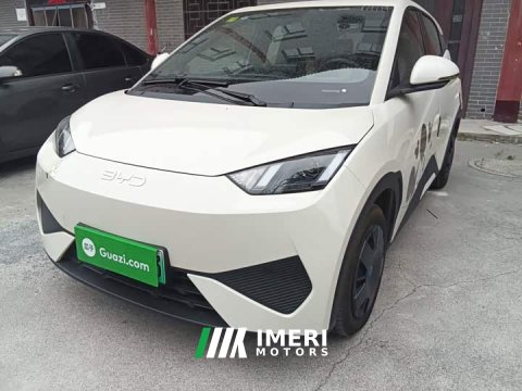 2025 BYD Seagull Smart Drive 305km Vitality Edition - ავტომობილი ჩინეთიდან
