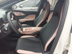 BYD Seagull Smart Drive 305km Vitality Edition - ფოტო 11