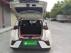 BYD Seagull Smart Drive 305km Vitality Edition - ფოტო 14