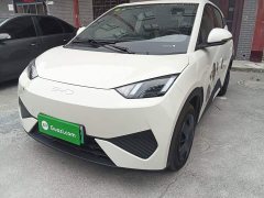 BYD Seagull Smart Drive 305km Vitality Edition - ფოტო 2