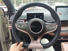 BYD Seagull Smart Drive 305km Vitality Edition - ფოტო 4