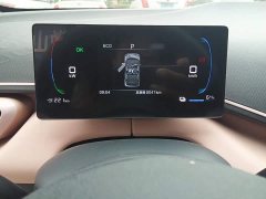 BYD Seagull Smart Drive 305km Vitality Edition - ფოტო 5