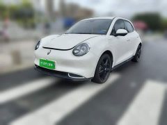 ORA Good Cat 401km Luxury - ფოტო 1