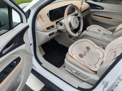 ORA Good Cat 401km Luxury - ფოტო 14
