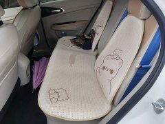 ORA Good Cat 401km Luxury - ფოტო 15