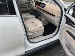 ORA Good Cat 401km Luxury - ფოტო 18
