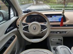 ORA Good Cat 401km Luxury - ფოტო 3