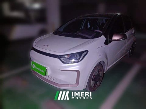 2024 Yttrium Flower Fairy Cherished Edition 301km Lite - car from China