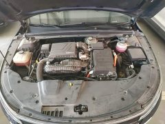 BYD Destroyer 05 Glory Edition DM-i 55KM Luxury - ფოტო 16