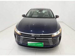 BYD Destroyer 05 Glory Edition DM-i 55KM Luxury - ფოტო 3