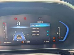 Ford Focus Hatchback EcoBoost 180 Automatic ST Line - ფოტო 6