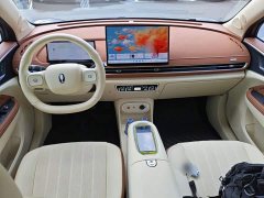 ORA Good Cat 430km Deluxe Edition - ფოტო 14